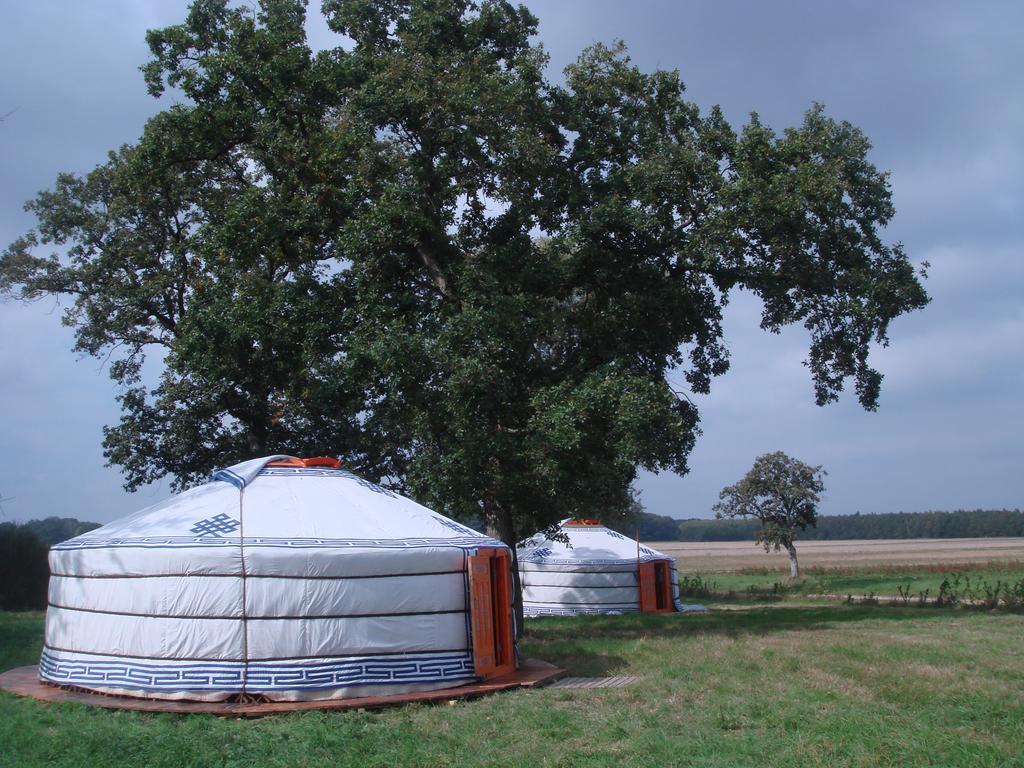 Yourte Nomade-Lodge Les Ecrennes Zewnętrze zdjęcie